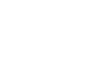 PSN Lanscaping | Tree